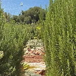 Villa Yoga -retreat -villa Sappho Near Ammoussa