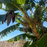 Yoga -retreat -villa Sappho Near Ammoussa Villa