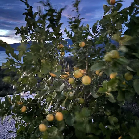 Villa Yoga -retreat -villa Sappho Near Ammoussa *