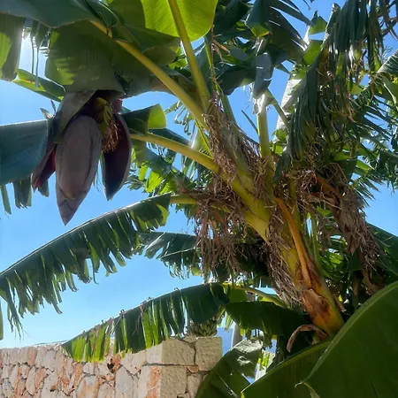 Yoga -retreat -villa Sappho Near Ammoussa Villa
