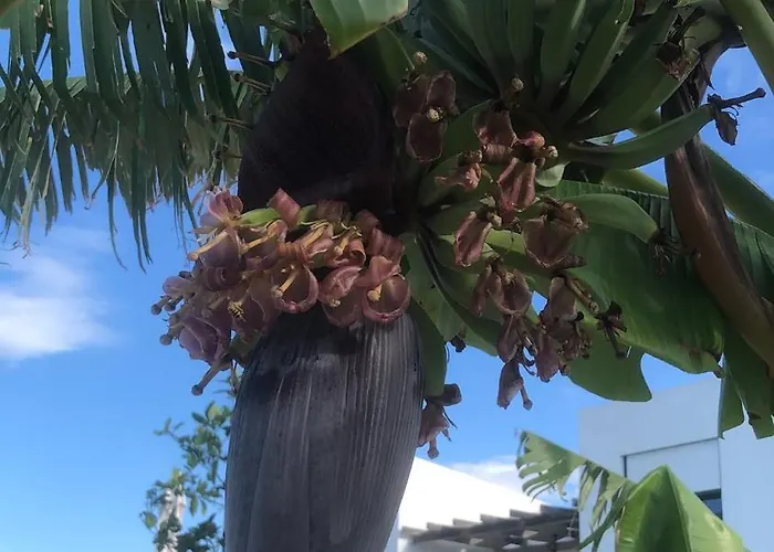 Yoga -retreat -villa Sappho Near Ammoussa Villa