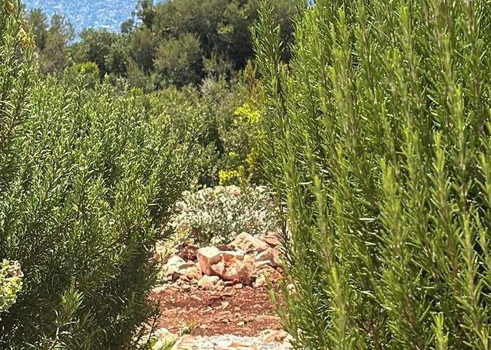 Villa Yoga -retreat -villa Sappho Near Ammoussa