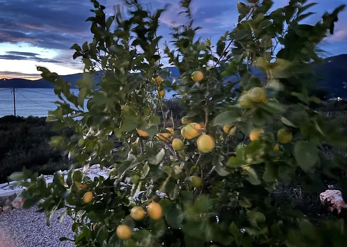 Villa Yoga -retreat -villa Sappho Near Ammoussa *