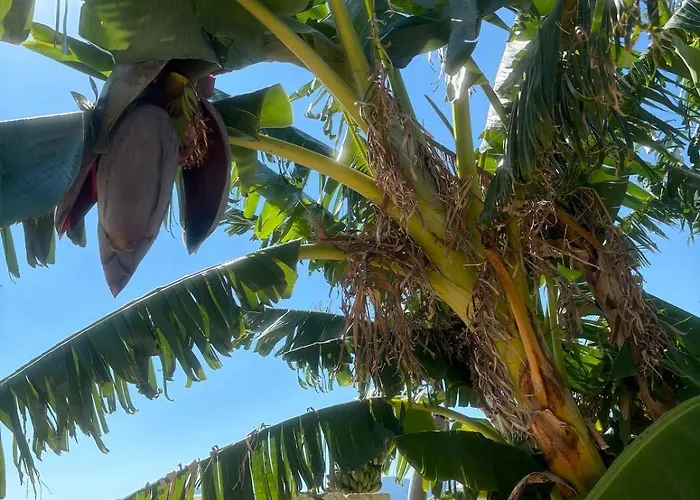 Yoga -retreat -villa Sappho Near Ammoussa Villa